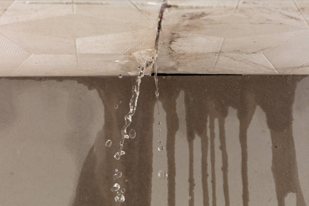 Professional Water Damage Repair technician working in Grantham, NH